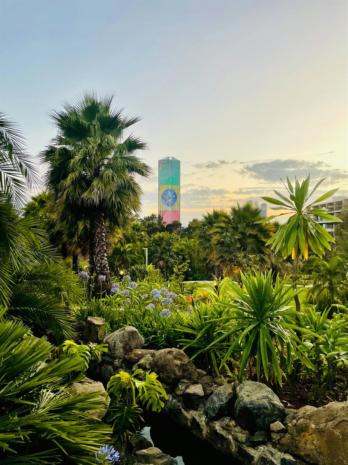 Green landscape inside Friendship Park in Addis Ababa